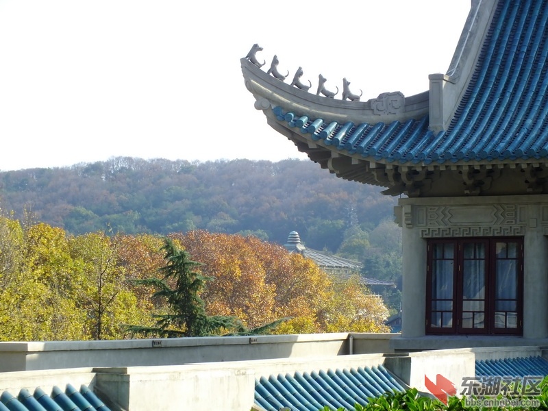 DSCF1944_调整大小.JPG