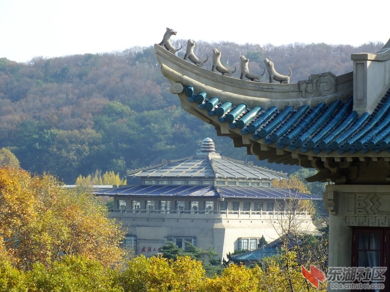 DSCF1960_调整大小.JPG