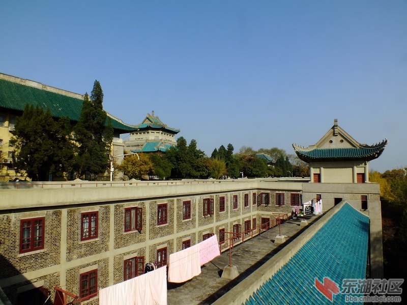 DSCF1981_调整大小.JPG