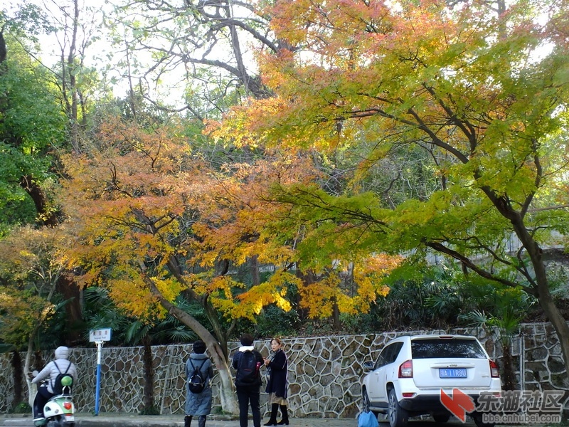 DSCF2004_调整大小.JPG