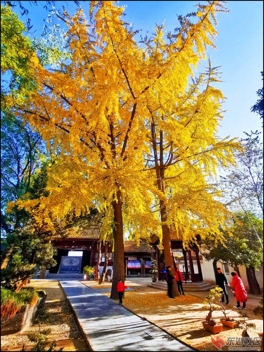 IMG米公祠2.jpg