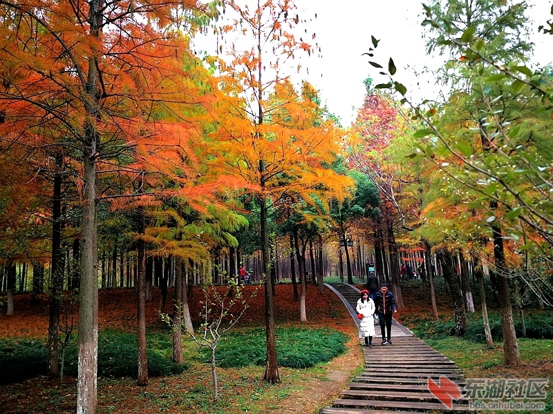 IMG_20191201_104732_副本_副本.jpg
