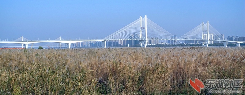 1     DSCN1669_副本.jpg