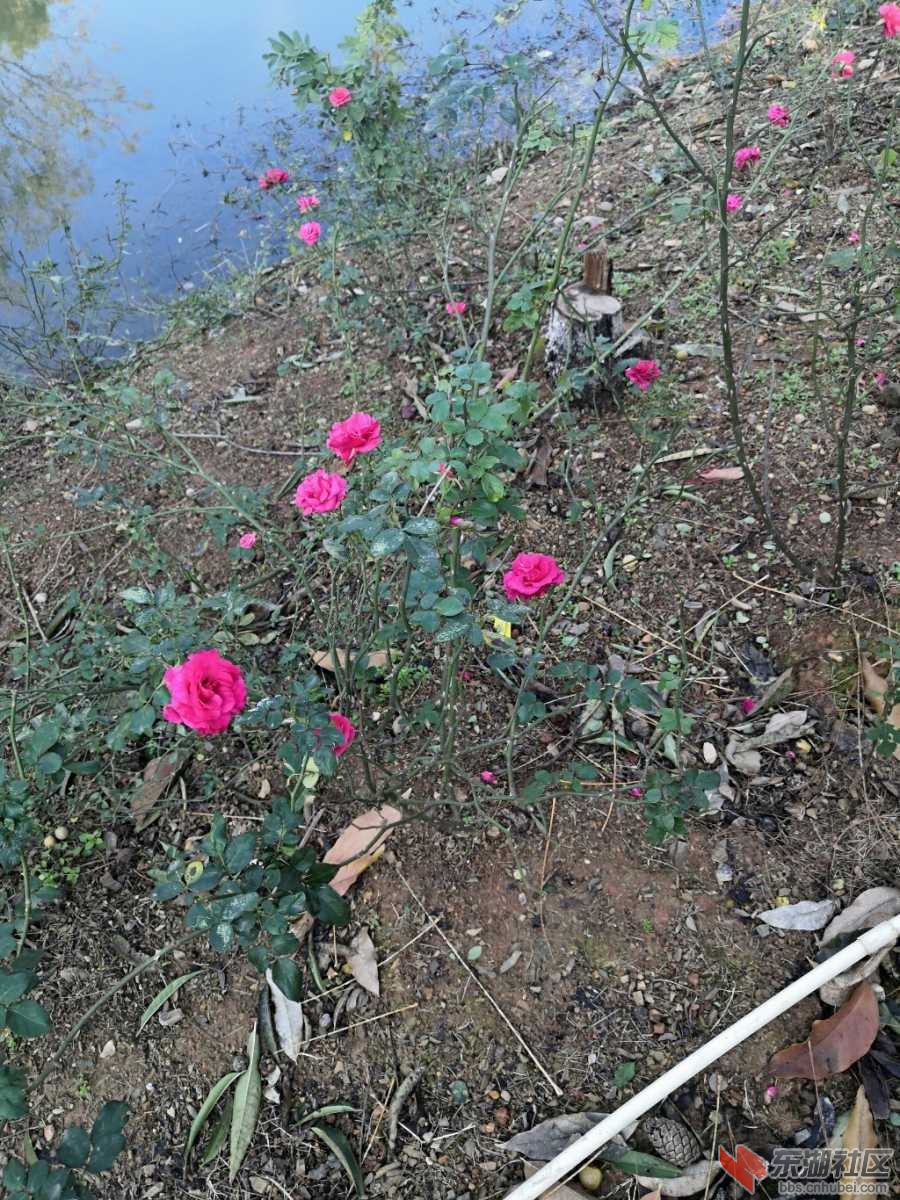IMG_20191203_140110.jpg