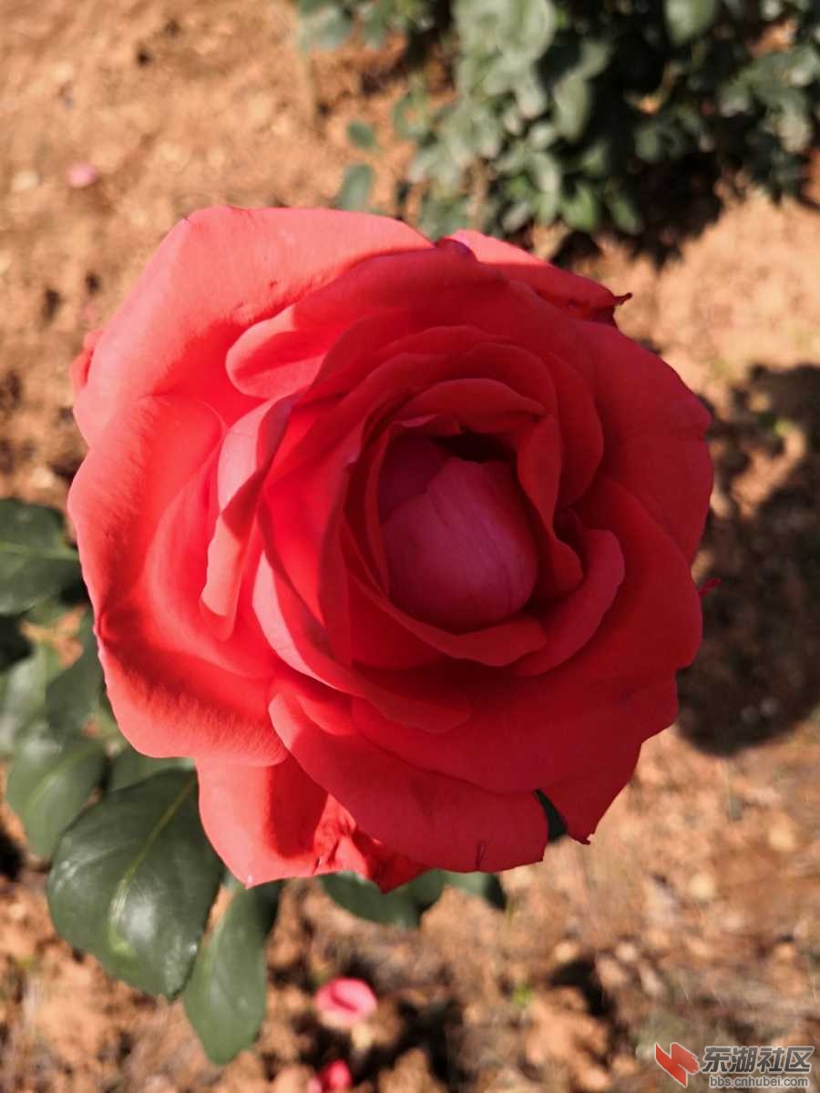 IMG_20191203_135659.jpg