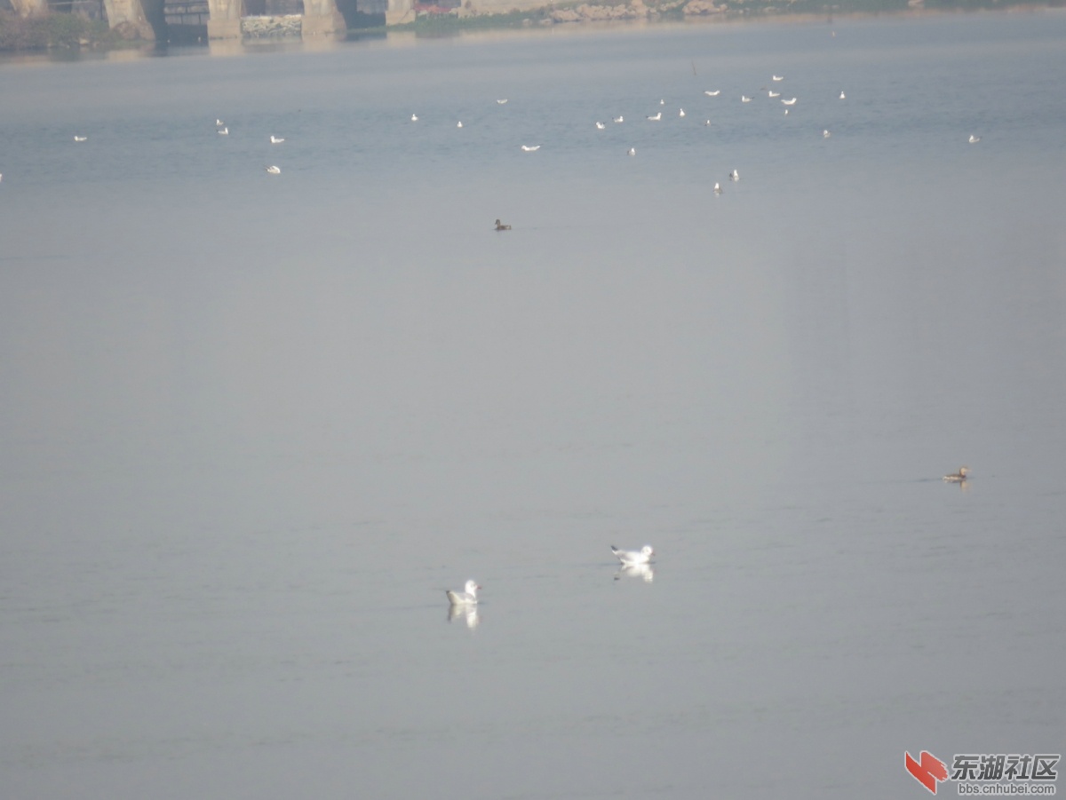 IMG_3890.JPG