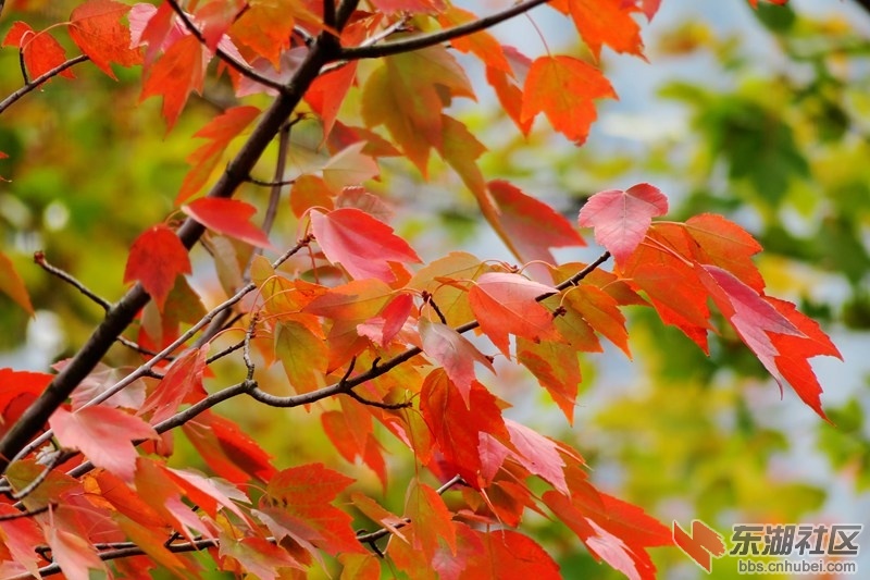 IMG_6509_副本.jpg