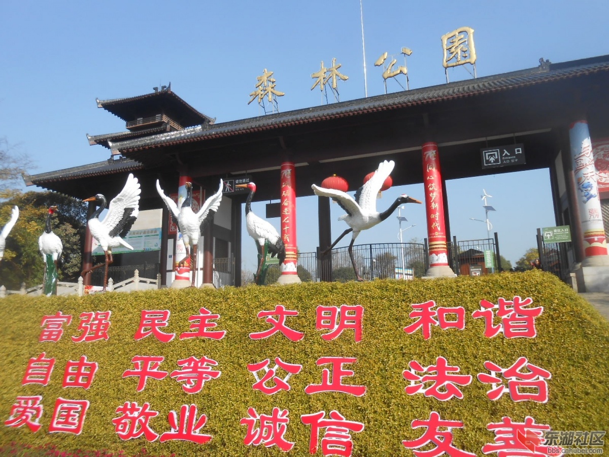 DSCN3015.JPG