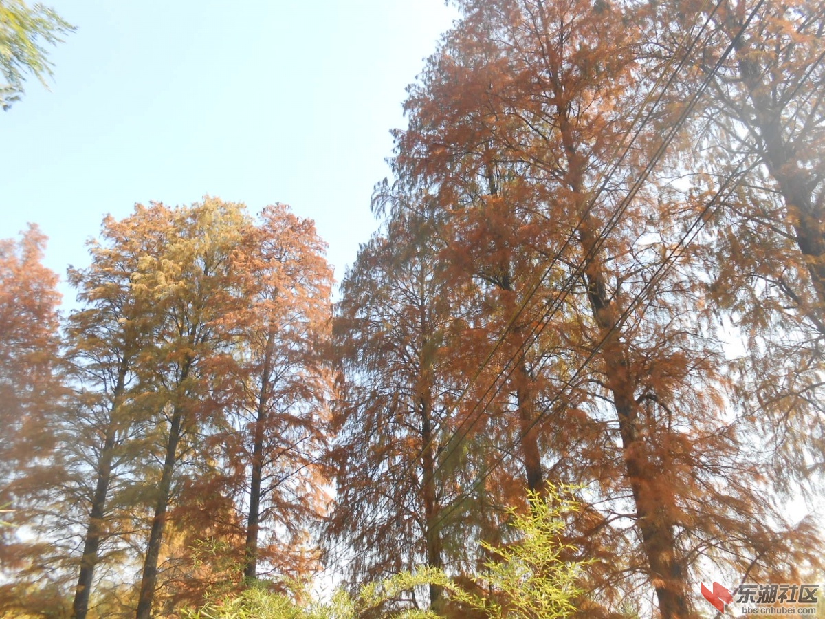 DSCN3029.JPG