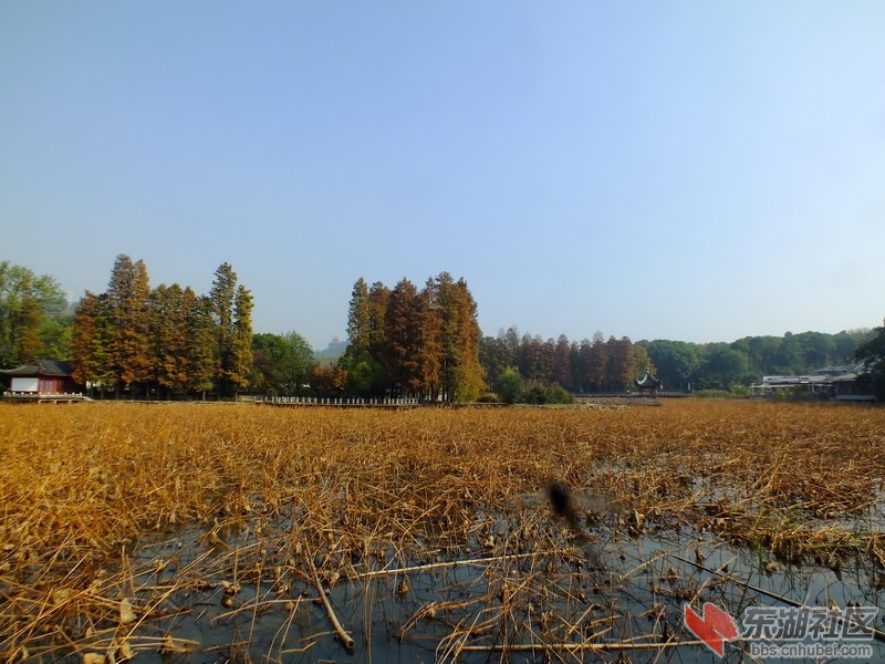 DSCF2110_调整大小.JPG