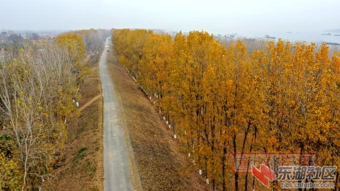 DJI_0341 - 副本.JPG