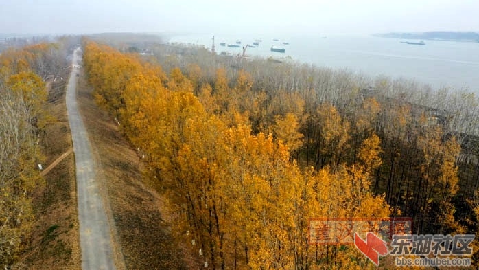 DJI_0329 - 副本.JPG