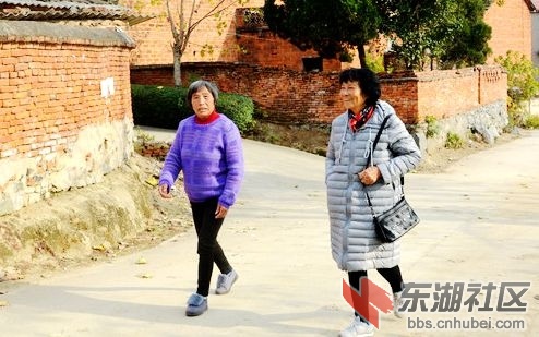   梅川蔡林村有位上海老知青扎根农村50年，艰苦岁月的故事让人敬佩！她叫董龙妹。 ...