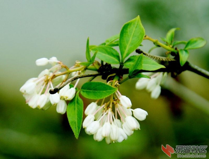 235547u35t5pbee4445mrp.jpg.thumb.jpg