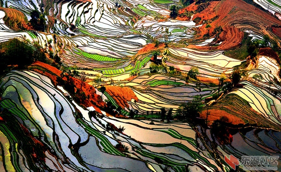 4-元阳新.jpg