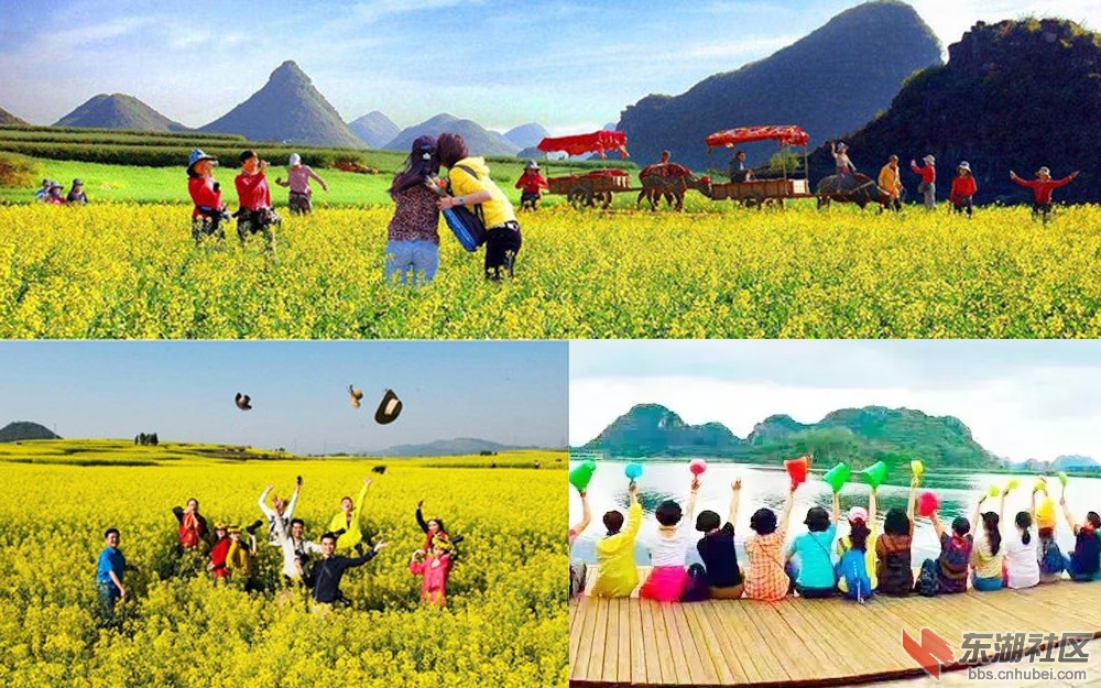 活动图1.jpg