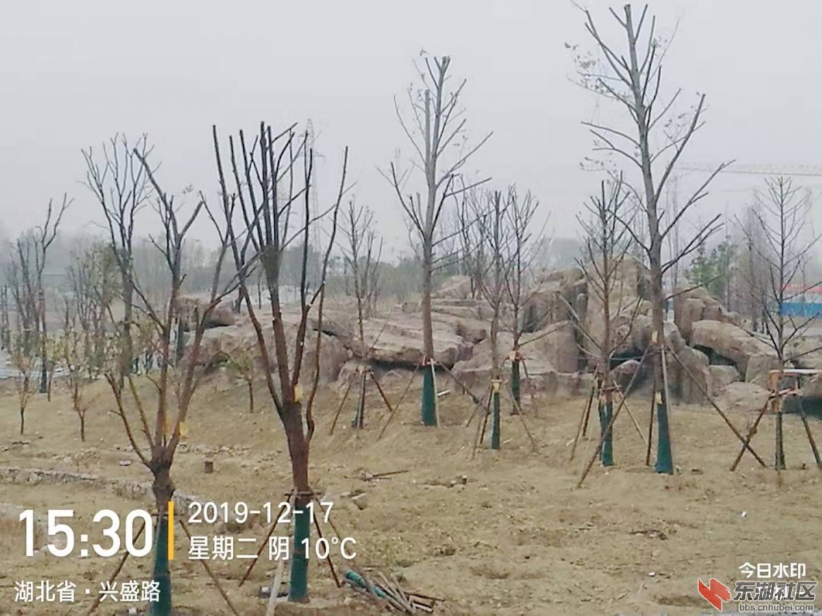 荆江新区景点建设