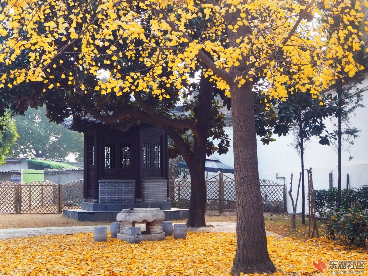 PC212747.jpg