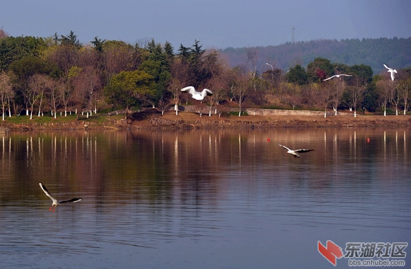 DSC_1452_副本.jpg