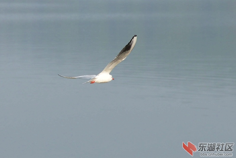 DSC_1487_副本.jpg