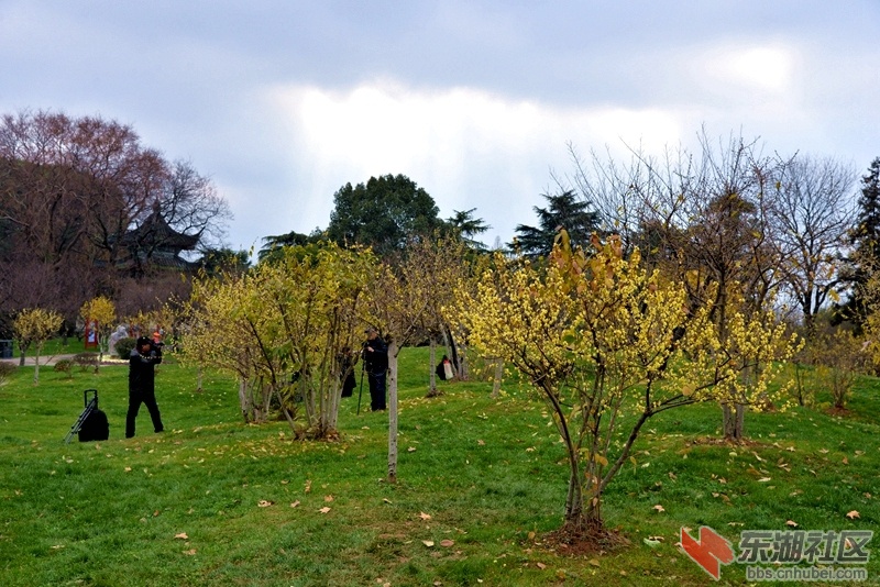 DSC_1782.JPG