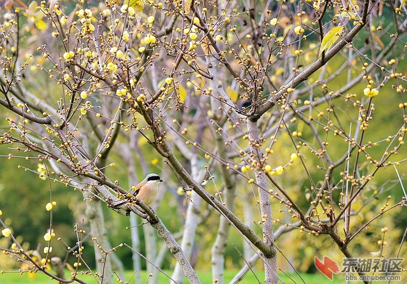 DSC_1794_副本.jpg