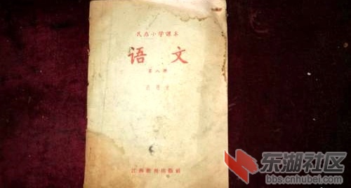 从梅川张牌小学走出的这些大学生们