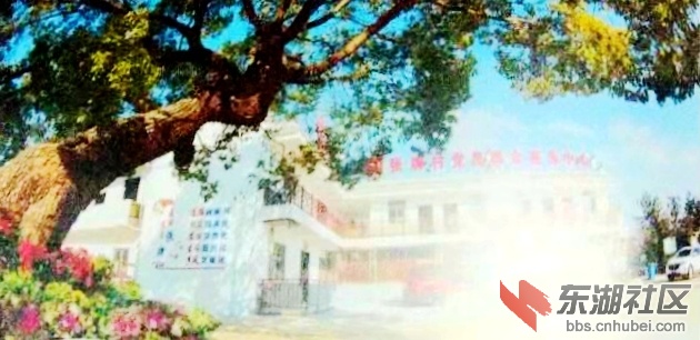 从梅川张牌小学走出的这些大学生们
