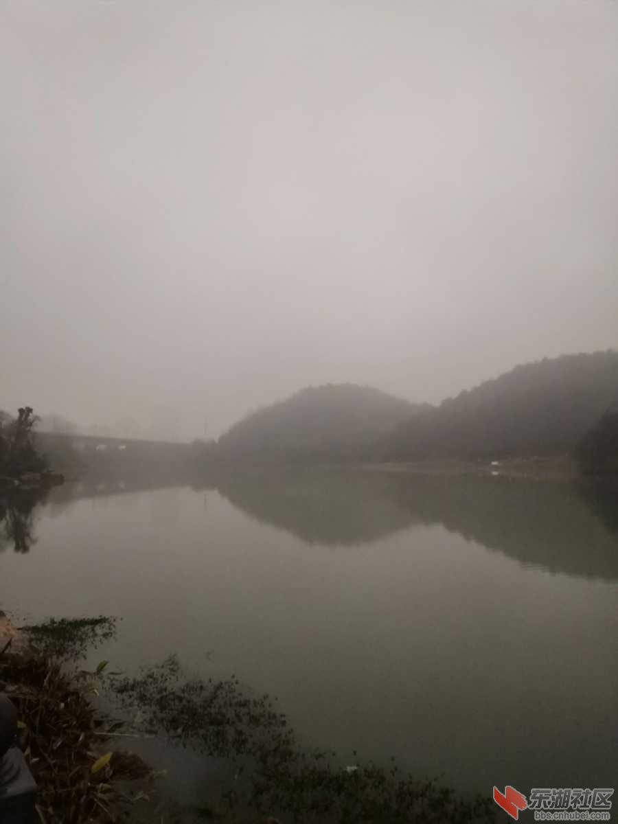 IMG_20200111_070946.jpg