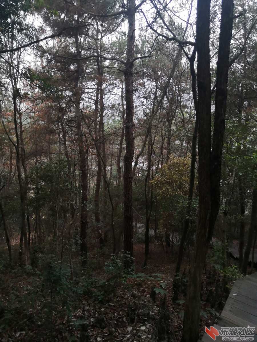 IMG_20200113_072356.jpg