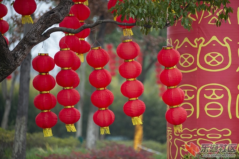 2.曾院平摄影.jpg