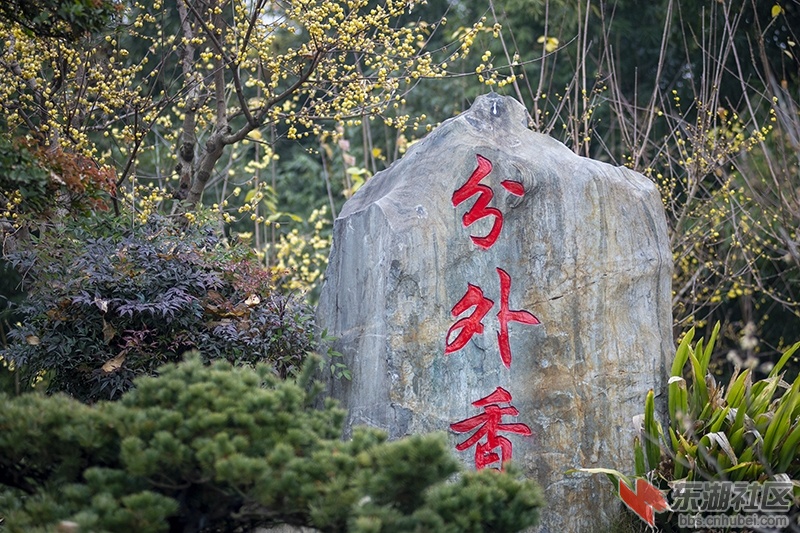 5.曾院平摄影.jpg