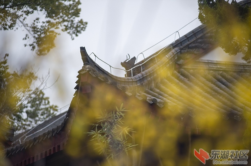 9.曾院平摄影.jpg