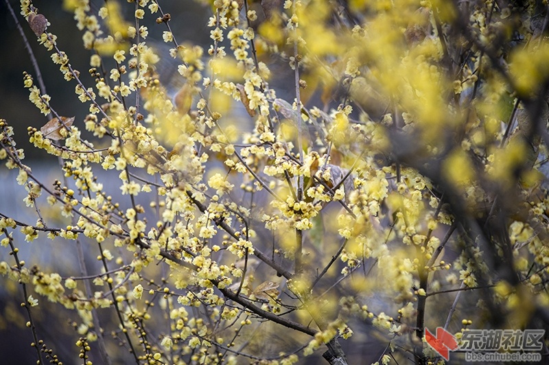 18.曾院平摄影.jpg