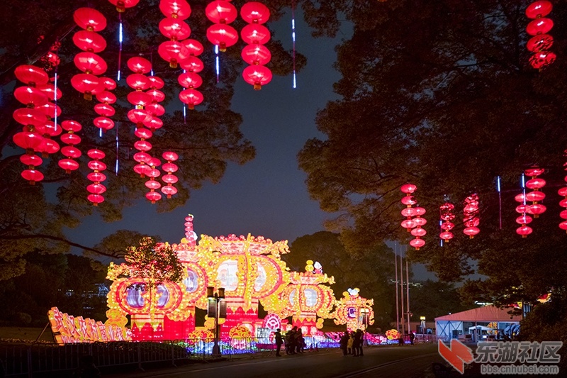 3.曾院平摄影.jpg