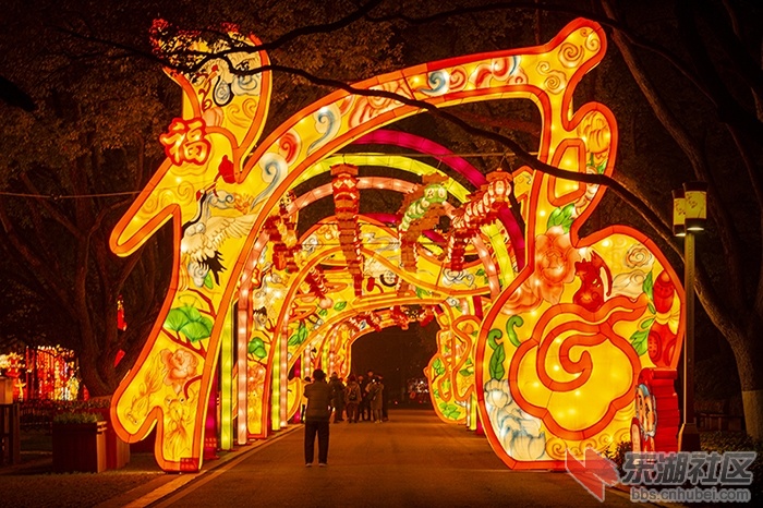 23.曾院平摄影 .jpg