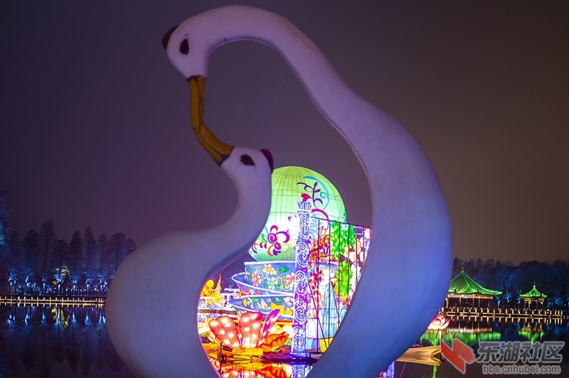 6.曾院平摄影.jpg