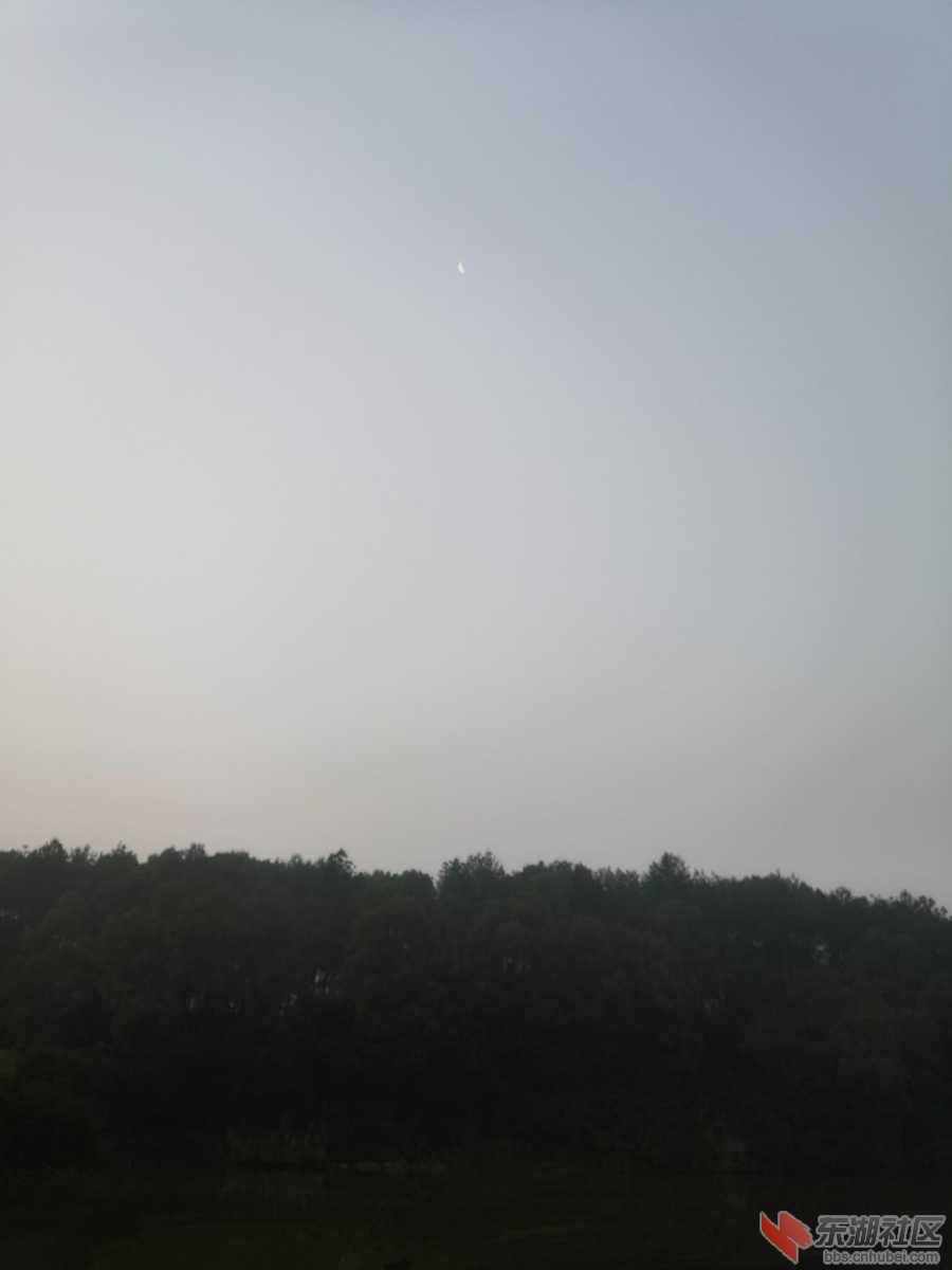 IMG_20200119_072027.jpg