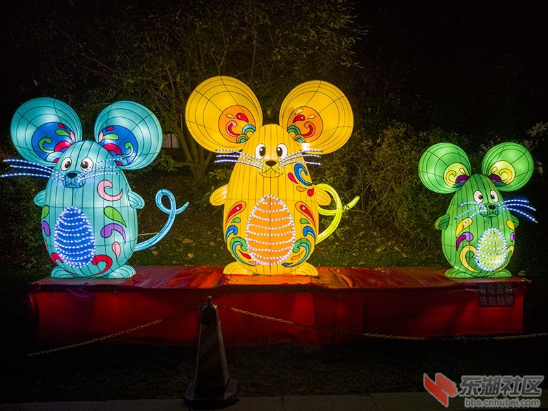 3.三只鼠形象大使 .曾院平摄影 .jpg