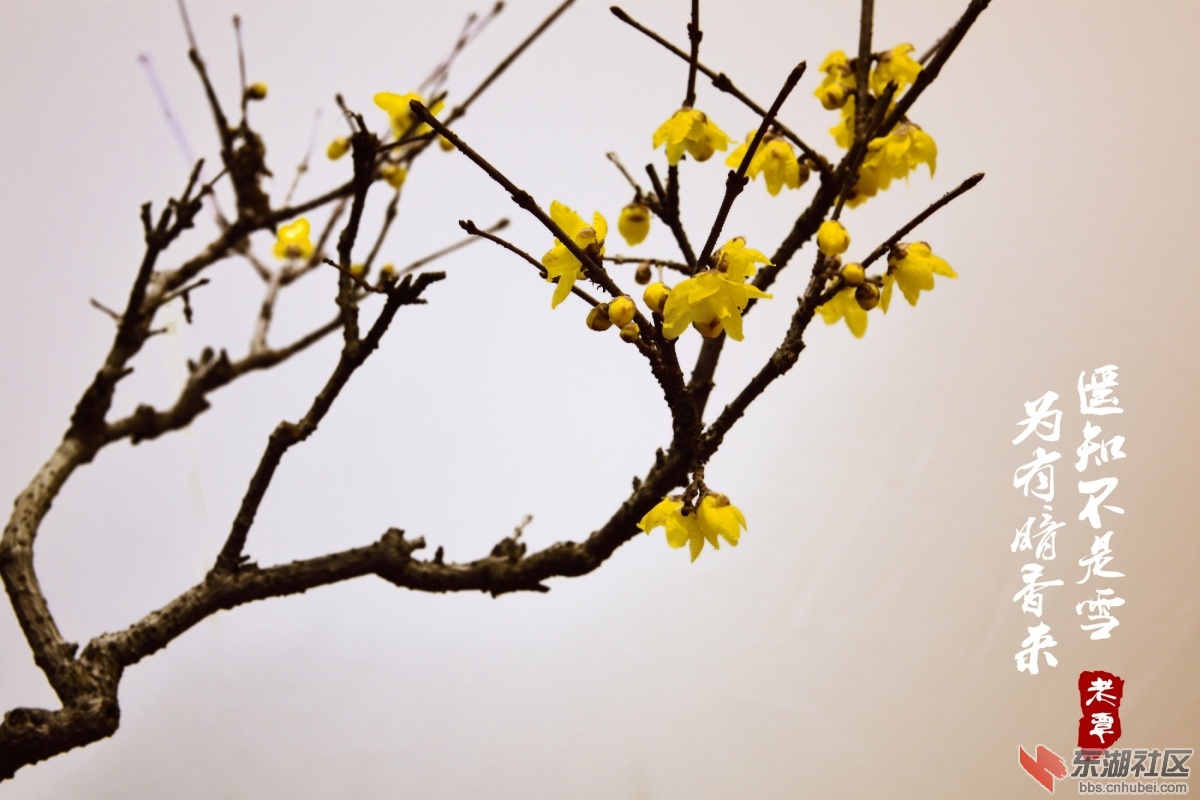 IMG_20190113_200740_副本.jpg