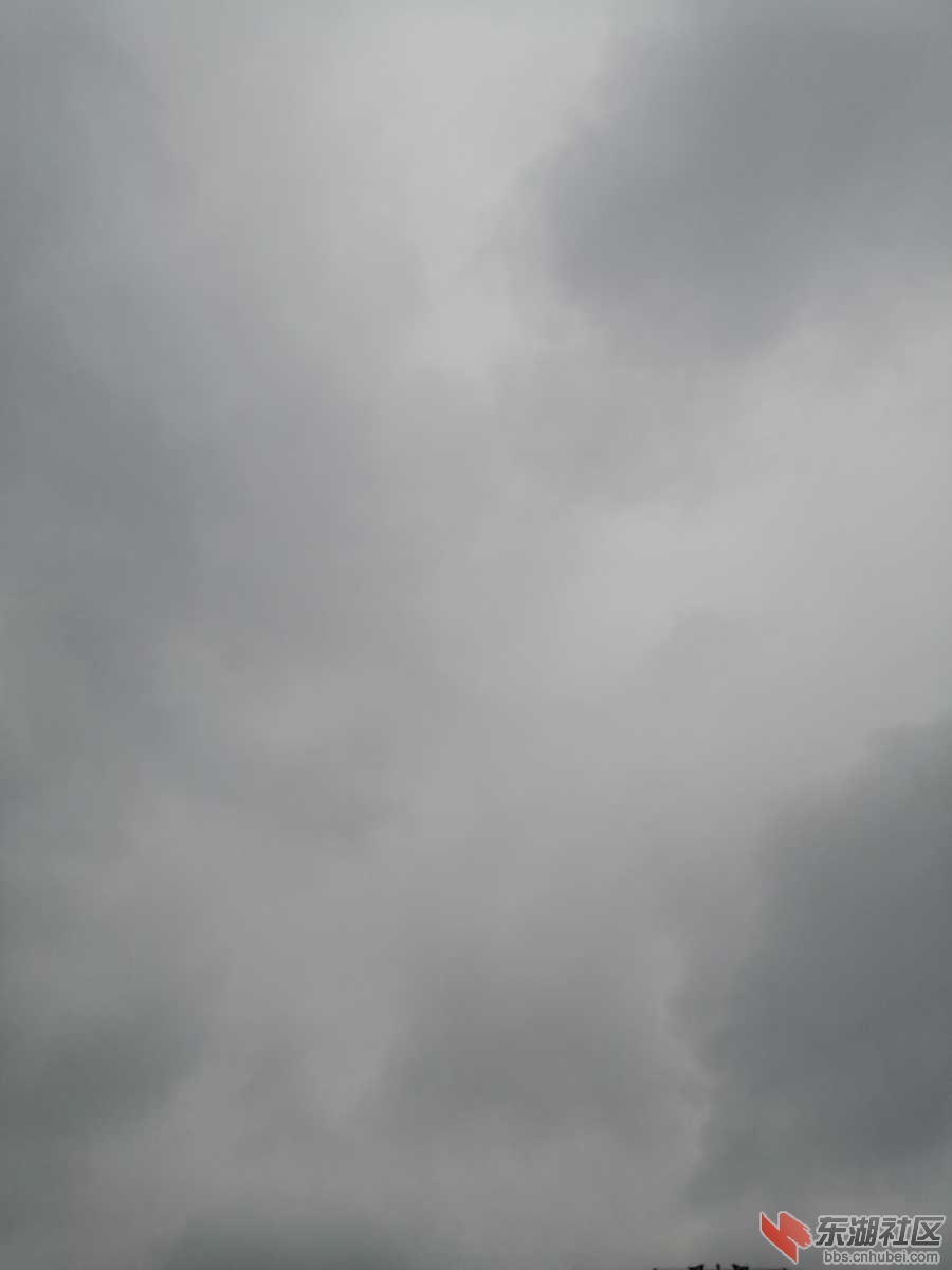 IMG_20200126_155100.jpg