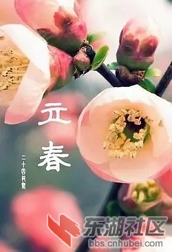 p159652200.webp.jpg