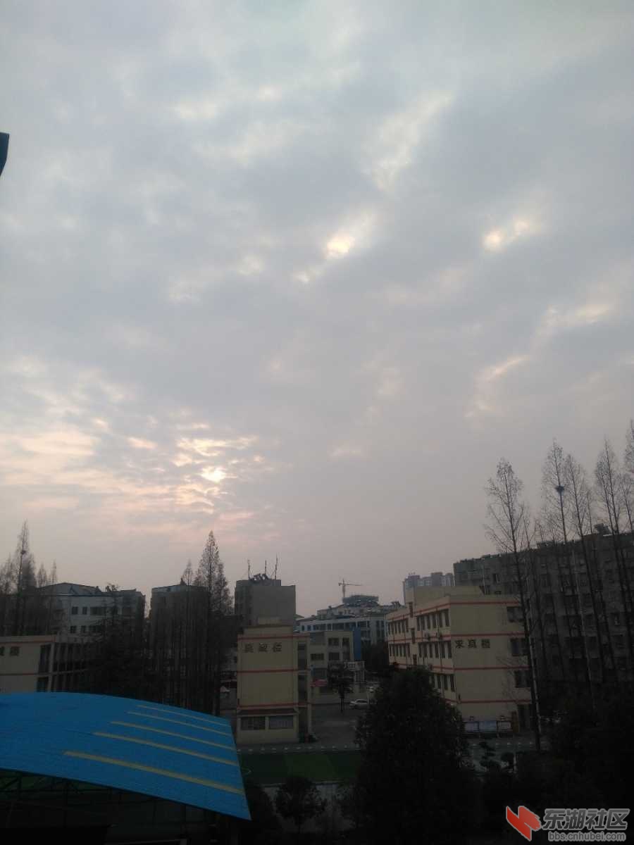 IMG_20200203_083959.jpg