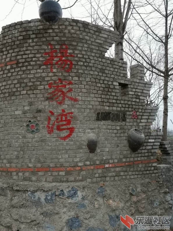 010.jpg