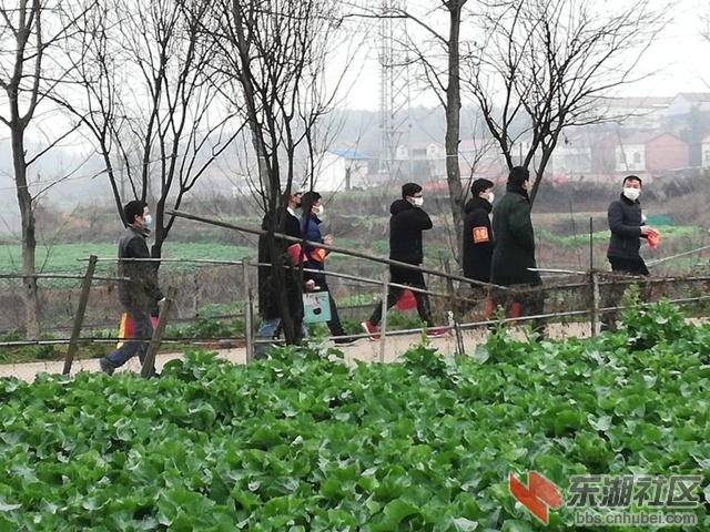 河6.jpg
