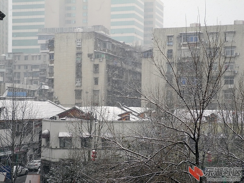 5     DSCN0445.jpg