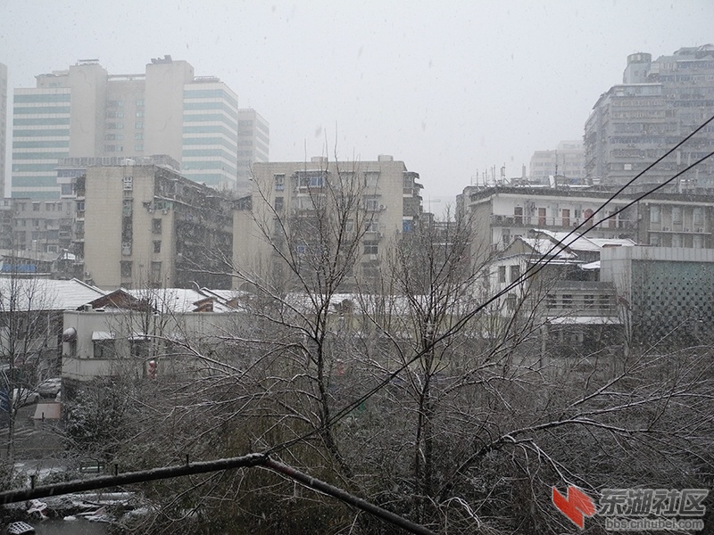 8     DSCN0449_副本.jpg