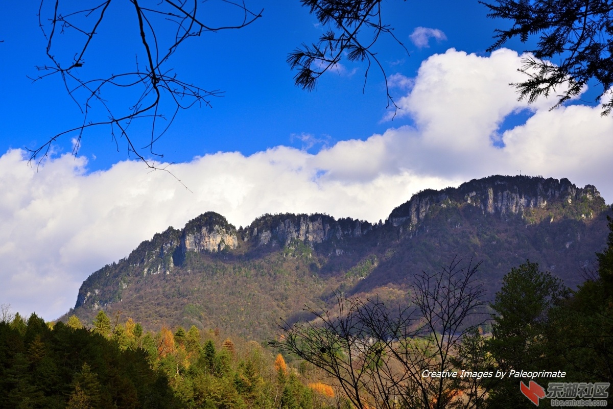 _DSC2083.jpg