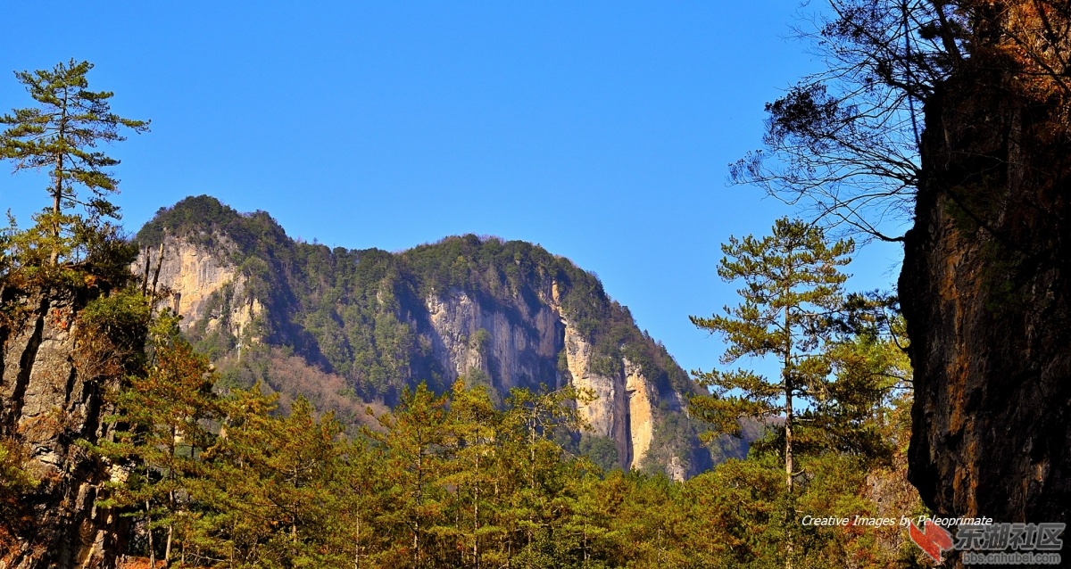 _DSC2090.jpg