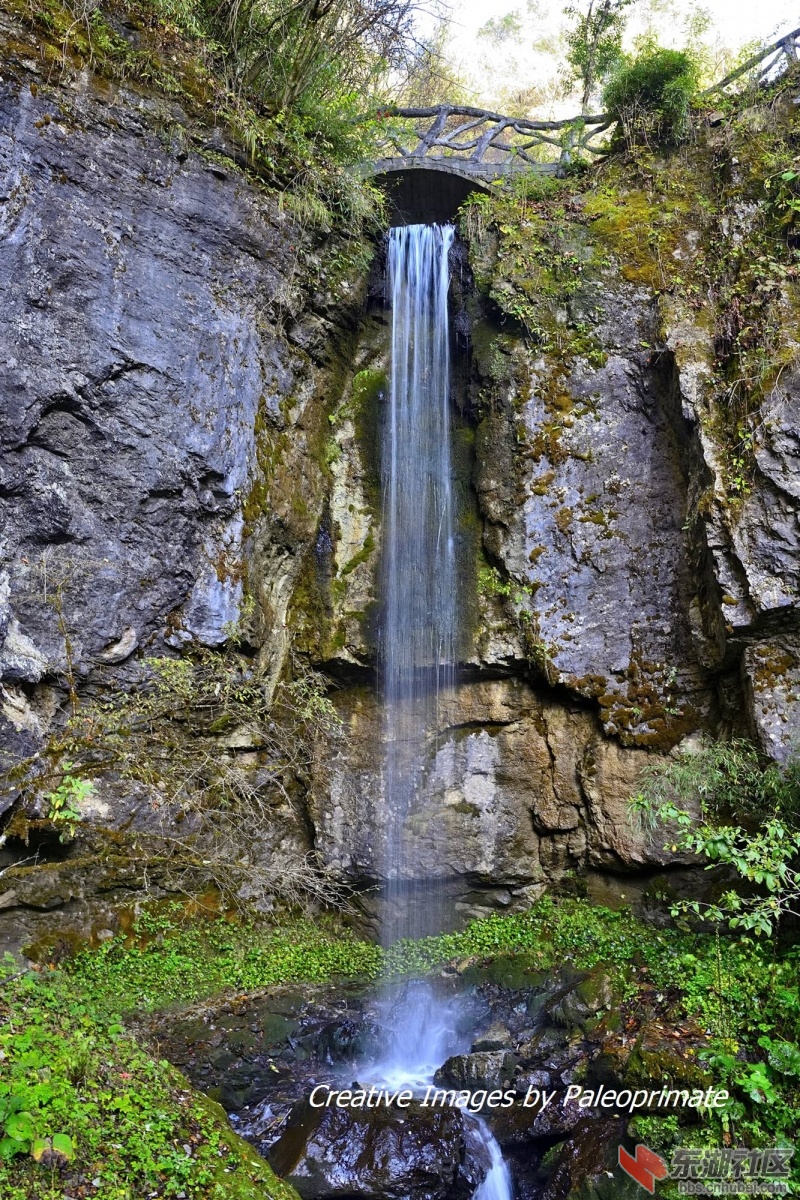 _DSC2029.jpg